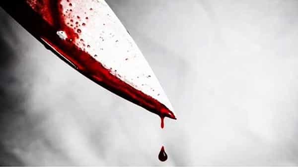 Crime News: మొబైల్ కోసం ఘర్షణ.. అన్నను ముక్కలుగా నరికి తోటలోనే పాతిపెట్టిన తమ్ముడు.. ఎక్కడ జరిగిందంటే..