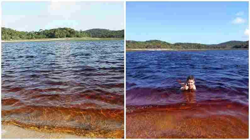 Coca Cola water: ఈ సముద్రంలో కోలా వాటర్ ప్రవహిస్తుంది.. ఇక్కడ స్విమ్మింగ్ చేస్తే ఆరోగ్యమే.. ఆరోగ్యం..