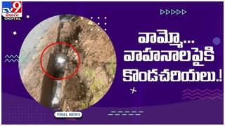 Viral Video: స్విమ్మింగ్‌లో ఛాంపియన్.. భావోద్వేగంతో చిన్నపిల్లాడిలా కన్నీళ్లు..! వైరలవుతోన్న వీడియో