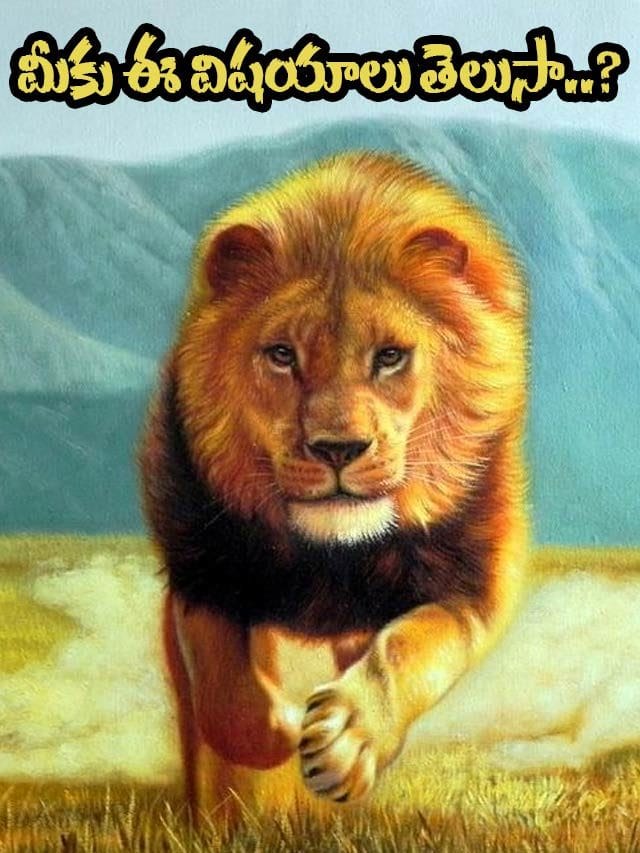 సింహాల దినోత్సవం స్పెషల్.. ఆసక్తికర విషయాలు మీకోసం..