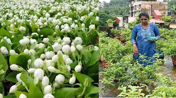 Success Story: మేడపై మల్లె పూల సాగు.. లక్షల్లో సంపాదన.. లాక్డౌన్ సమయంలో ఓ మహిళ విజయ గాథ..