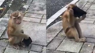 Viral Video: కాసేపట్లో పెళ్లి అనగా పెళ్లి మండపం ఎక్కనంటూ నవ వధువు ఏడుపు.. అసలు కారణం తెలిసి నవ్వుకున్న జనాలు..