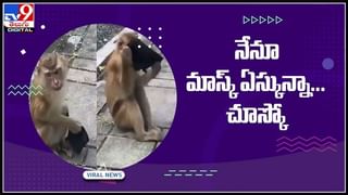 వామ్మో..స్కూటీ డిక్కీలో నాగుపాము..! ఎలా వచ్చిందో తెలిసా..?షాక్ లో ఓనర్..:Snake Viral Video.