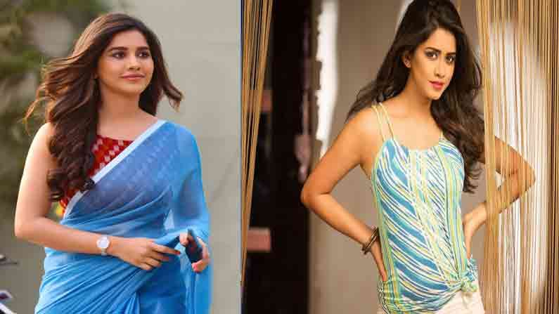 Nabha Natesh: లక్కీ ఛాన్స్‌ కొట్టేసిన ఇస్మార్ట్‌ బ్యూటీ.. బాలీవుడ్‌ బడా హీరోకు జోడిగా నటించనున్న నభా.?