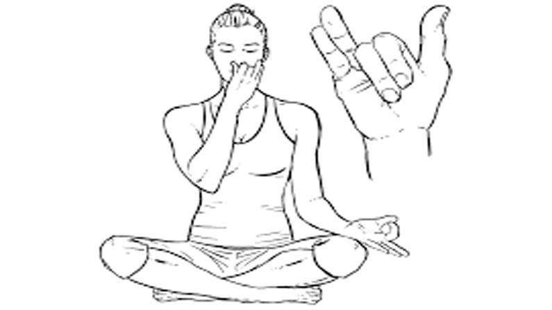 Yoga Pose: దీర్ఘకాలంగా శ్వాసకోశ వ్యాధులతో ఇబ్బంది పడుతున్నారా.. రిలీఫ్ కోసం ఉదయాన్నే ఈ ఆసనాన్ని ట్రై చేయండి