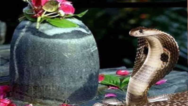 నాగ పంచమి రోజున నాగ దేవతను పూజించిన వారికి, సంవత్సరం పొడుగునా ఏ సమస్యలూ లేకుండా, అన్నీ సవ్యంగా నెరవేరుతాయి. అంతా అనుకూలంగా ఉంటుందని భక్తుల నమ్మకం