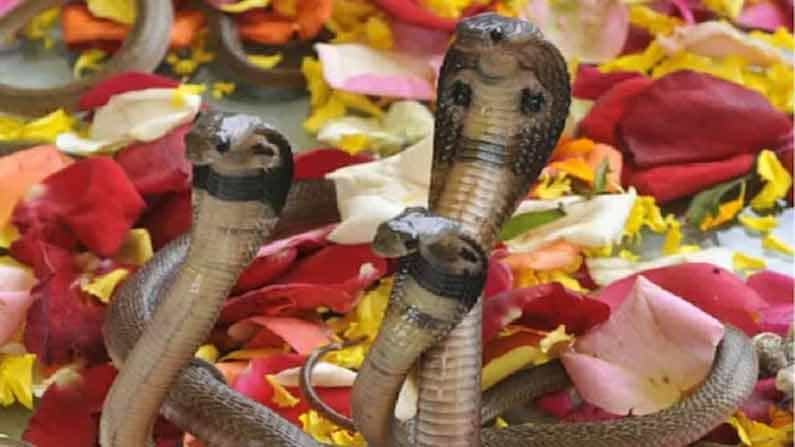 నాగ పంచమి రోజున నాగప్రతిమకు పంచామృతం, జాజి, సంపెంగ, గన్నేరు వంటి పుష్పాలతో అత్యంత భక్తి శ్రద్ధలతో పూజలు చేసి, పాయసం నివేదించాలని ముక్కంటి.. శక్తిమాతకు వివరించినట్లు తెలుస్తోంది.