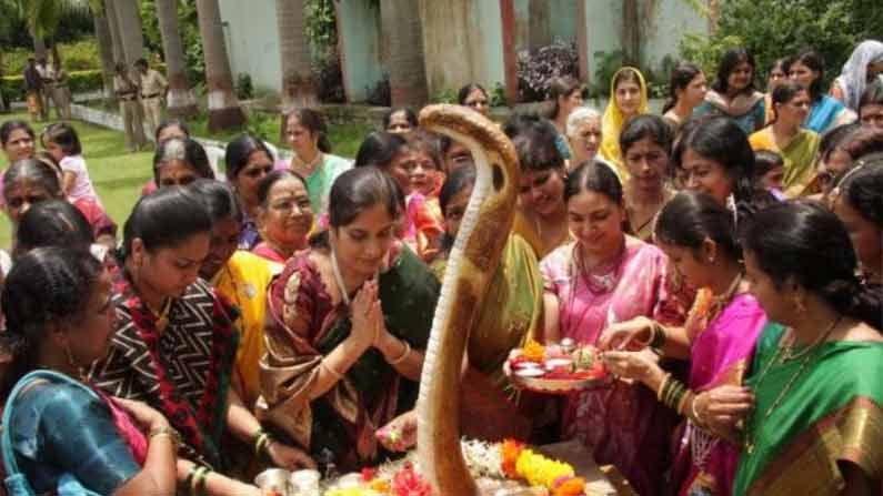 నాగపంచమి నాడు పాము పుట్టలకు పూజ చేయించడం, పాలు పోయడం వంటివి చేస్తే వంశాభివృద్ధి కలుగుతుందని పండితులు చెప్పారు. అంతేకాదు నాగదేవి కొలువైన దేవాలయంలో నాగా అష్టోత్తరం, పంచామృతములతో అభిషేకం వంటి పూజా కార్యక్రమాలు చేయిస్తే సకల భోగభాగ్యాలు ప్రాప్తిస్తాయని విశ్వాసం.