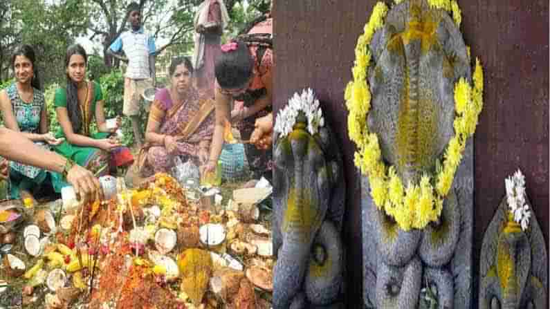 Nag Panchami: శ్రావణ శోభను సంతరించుకున్న ఆలయాలు.. పుట్టలో పాలు పోస్తున్న భక్తులు...నాగ పంచమి విశిష్టత ఏమిటంటే