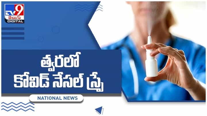 Covid Nasal Spray: త్వరలో మార్కట్లో కోవిడ్ నేసల్ స్ప్రే.. వైరల్ లోడ్ శాతాన్ని తగ్గించే అద్భుత ఔషధం.. వీడియో Covid Nasal Spray: త్వరలో మార్కట్లో కోవిడ్ నేసల్ స్ప్రే.. వైరల్ లోడ్ శాతాన్ని తగ్గించే అద్భుత ఔషధం.. వీడియో