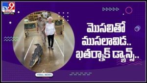 మొసలితో ముసలావిడ కిరాక్ డాన్స్..!షాక్ కు గురిచేస్తున్న వైరల్ వీడియో..:Old woman dance with crocodile Video.