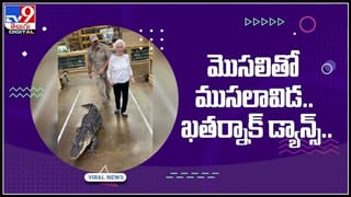 ఊహించని రీతిలో కుక్కను పట్టి నీటిలోకి ఈడ్చుకెళ్లిన మొసలి..షాకింగ్ వీడియో..:Crocodile Grabbing Dog Video.