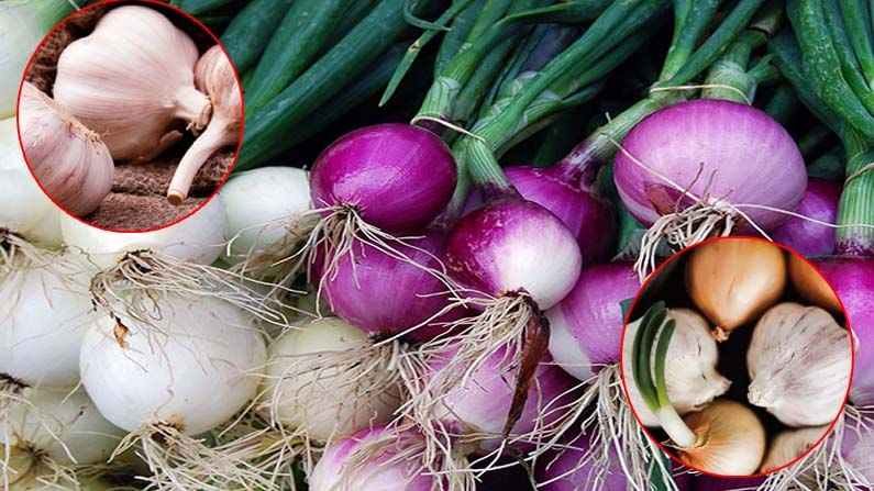 Onion, Garlic: మొలకెత్తిన ఉల్లిపాయ, వెల్లుల్లి తినడం మంచిదేనా..? ఎందుకు మొలకలు వస్తాయి..?