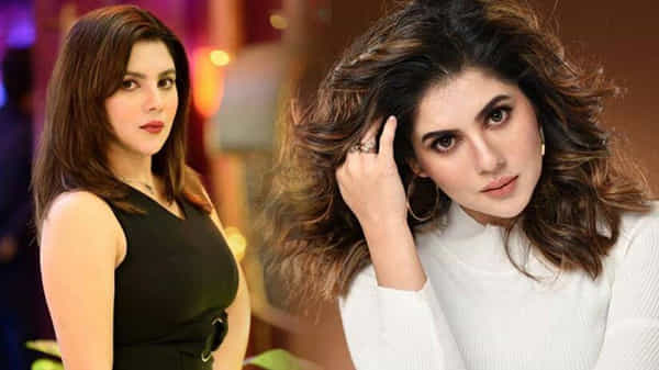 Payal Sarkar: డైరెక్టర్ పేరుతో ఆకతాయిల వేధింపులు.. సైబర్ క్రైమ్కు ఫిర్యాదు చేసిన హీరోయిన్..
