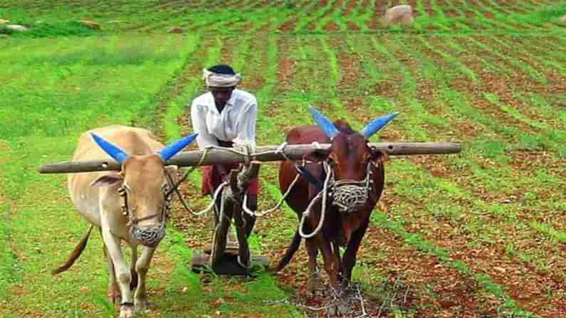 PM Kisan: పీఎం కిసాన్ స్కీమ్ ప్రయోజనాల కోసం ఇలా రిజిస్టర్ చేసుకొండి..