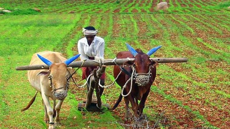 PM Kisan: పీఎం కిసాన్ స్కీమ్ ప్రయోజనాల కోసం ఇలా రిజిస్టర్ చేసుకొండి..