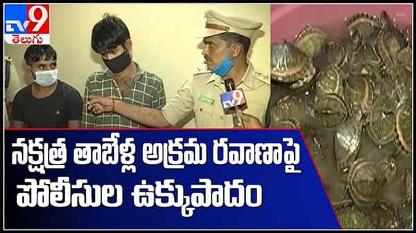 స్టార్ తాబేళ్ల అక్రమ రవాణా పై పోలీస్ ఉక్కుపాదం..తాబేలు ఉంటె అదృష్టం..వైరల్ వీడియో:Star Tortoises Video.