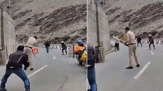 Viral Video: బుజ్జి.. బుజ్జి కోబ్రాలు ఎలా పడగ విప్పి ఆడుతున్నాయో చూడండి..