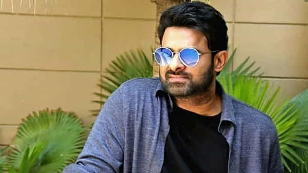 Prabhas Movie: ప్రభాస్ మూవీలో ఇండియా పాక్ యుద్ధం.. యాక్షన్ సీన్లు నెక్ట్స్ లెవల్లో ఉండనున్నాయంటా..