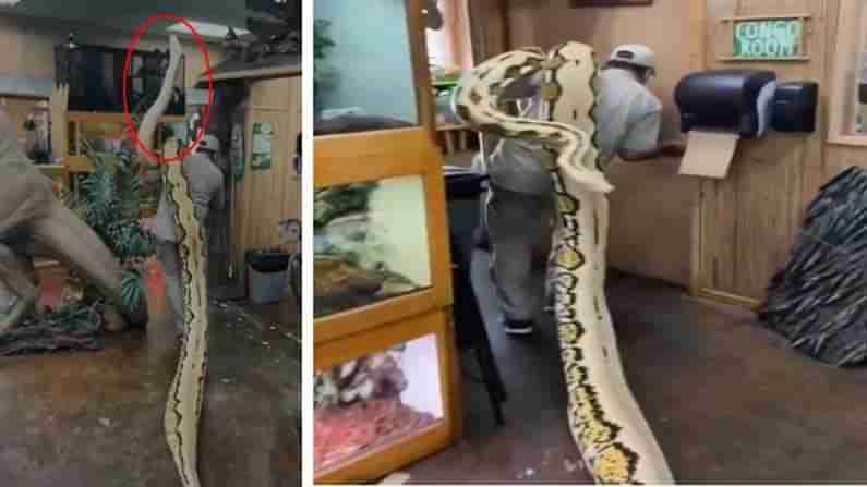 Viral Video: వామ్మో.! ఎంత పెద్ద కొండచిలువ.? నెటిజన్లు ఫిదా.. వైరల్‌గా మారిన వీడియో!