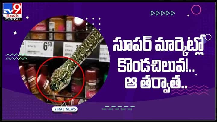 సూపర్ మార్కెట్లో షాపింగ్ చేస్తున్న కొండచిలువ..ఆ తరువాత ఎం జరిగిందంటే..?:Python In Supermarket Video. సూపర్ మార్కెట్లో షాపింగ్ చేస్తున్న కొండచిలువ..ఆ తరువాత ఎం జరిగిందంటే..?:Python In Supermarket Video.
