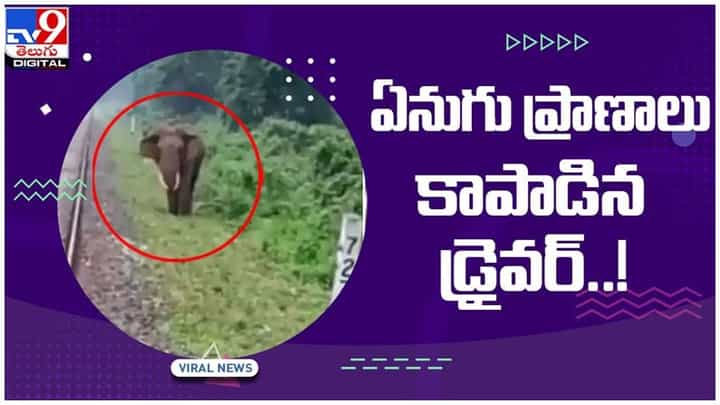 Viral Video: రైలుకు ఎదురుగా దూసుకొస్తున్న ఏనుగు.. చివరికి ఏమైందంటే..?? వీడియో Viral Video: రైలుకు ఎదురుగా దూసుకొస్తున్న ఏనుగు.. చివరికి ఏమైందంటే..?? వీడియో