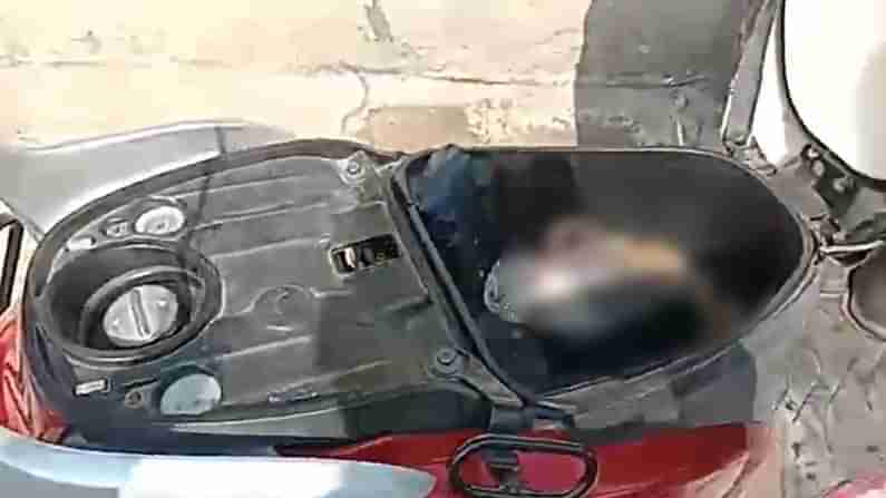 Shocking Video: స్కూటీ డిక్కీలో వింత శబ్ధాలు.. భయపడుతూనే ఓపెన్ చేసిన ఓనర్.. ఒక్కసారిగా..