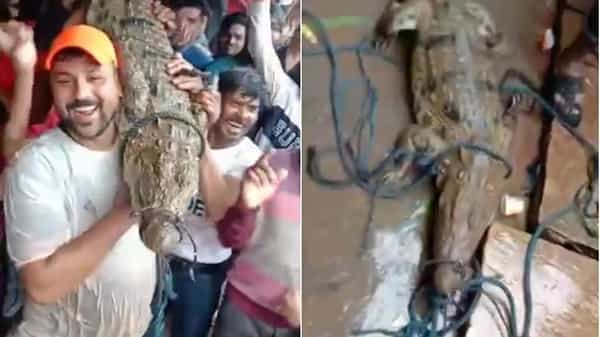 Viral Video : మొసలితో సెల్ఫీ దిగితే ఆ కిక్కే వేరప్ప..! సోషల్ మీడియాలో వైరల్గా మారిన వీడియో..