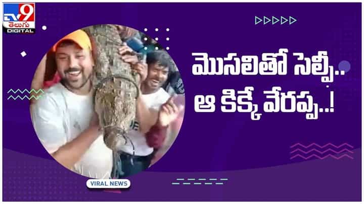 Selfie With Crocodile: మధ్యప్రదేశ్లోని ఓ మార్కెట్లోకి కొట్టుకువచ్చిన భారీ మొసలి..!! సెల్ఫీలకు ఎగబడిన స్థానికులు.. వీడియో Selfie With Crocodile: మధ్యప్రదేశ్లోని ఓ మార్కెట్లోకి కొట్టుకువచ్చిన భారీ మొసలి..!! సెల్ఫీలకు ఎగబడిన స్థానికులు.. వీడియో