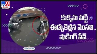 Viral Video: ఇలా టీవీ ఆన్ చేయాలని మీకు తెలుసా..? నవ్వులు పూయిస్తున్న వైరల్ వీడియో