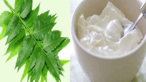 Skin Care: వేపలోని ఔషధ గుణాలకు కొద్దిగా పెరుగు కలిపితే.. మీ చర్మ సౌందర్యానికి తిరుగు ఉండదు.. ఎలానో తెలుసుకోండి..