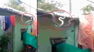 Viral Video: నీరజ్ చోప్రాలో దాగి ఉన్న మరో టాలెంట్.. వీడియోలో దుమ్మురేపిన గోల్డెన్ బాయ్