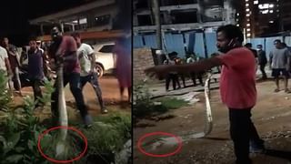 Viral Video: వాటే సీన్ హై.. హిప్పోపై సవారీ చేస్తున్న తాబేళ్ల మంద.. నెట్టింట్లో వైరల్ అవుతున్న వీడియో..