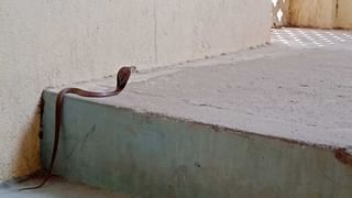 Simhachalam Temple: సింహాచలంలో కూలిన సీతారామస్వామి ఆలయ ధ్వజస్తంభం.. సీసీ పుటేజ్ చూసి..