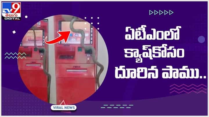 ఏటీఎం మిషన్లో దూరిన భారీ విష సర్పం.. చూసి హడలెత్తిపోయిన స్థానికులు.. వీడియో ఏటీఎం మిషన్లో దూరిన భారీ విష సర్పం.. చూసి హడలెత్తిపోయిన స్థానికులు.. వీడియో