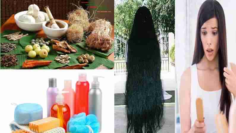 Soap Nuts Vs Shampoo: ప్రకృతి ప్రసాదం కుంకుడుకాయలు.. రసాయనాల సమ్మేళనం షాంపూ.. జుట్టుకి ఏది మంచిదో తెలుసా