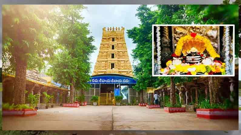 Srisialam Temple: శ్రీశైలం మల్లన్న భక్తులకు శుభవార్త.. ఇవాళ్టి నుంచి సర్వదర్శనానికి అనుమతి