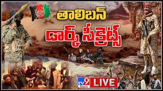 ఇరాన్‌ సరిహద్దులో 295 కిమీ మేర గోడను నిర్మిస్తున్న టర్కీ.. వీడియో