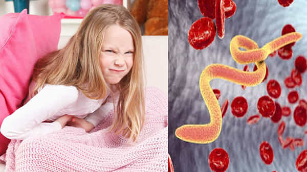 Tapeworm: చిన్నారులు కడుపునొప్పి, రక్తహీనతతో బాధపడుతున్నారా.. అయితే నులిపురుగులు ఉన్నాయేమో చెక్ చేసుకోండి..