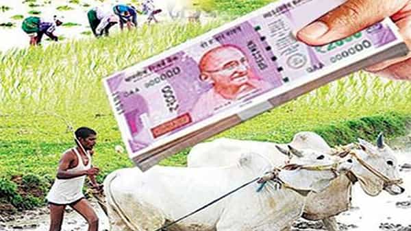 Telangana: రుణమాఫీ ట్రయల్ రన్ విజయవంతం.. రైతులకు గుడ్ న్యూస్ చెప్పిన తెలంగాణ సర్కార్