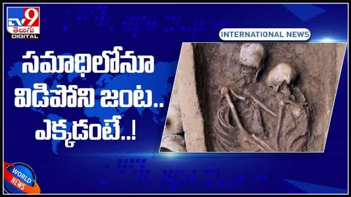 సమాధిలోనూ విడిపోని జంట...విస్తుపోయే నిజాలు...వైరల్ గా మారిన వీడియో.. ఎక్కడంటే!:Viral Video. సమాధిలోనూ విడిపోని జంట...విస్తుపోయే నిజాలు...వైరల్ గా మారిన వీడియో.. ఎక్కడంటే!:Viral Video.