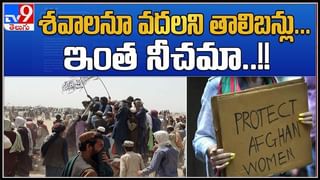 Viral Video: ఇదేందిది! రాబిన్‌హుడ్‌ను మించిపోయిన చిలుక.. ఏం చేసిందో చూస్తే షాకవుతారు..