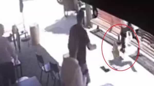 Viral Video: ఈ వ్యక్తి టైమింగ్కి మీరు ఫిదా అవుతారు.. దెబ్బకు దొంగ బొక్కబోర్లాపడ్డాడు