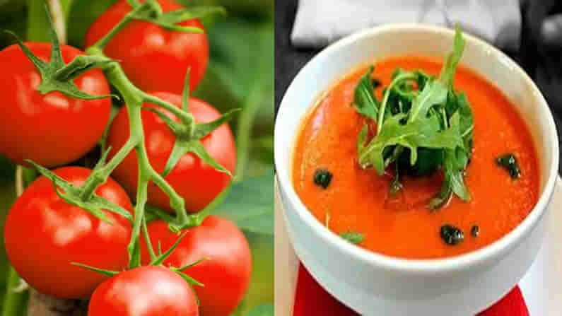 Tomato Soup: రెస్టారెంట్ స్టైల్‌లో ఇంట్లోనే టేస్టీ టేస్టీ టమాటా సూప్ తయారీ.. అది ఇచ్చే ఆరోగ్య ప్రయోజనాలు