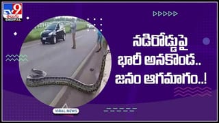 Viral Video: ఇదేం జంప్‌ బాబు.. నడుం విరిగిందనుకో..! సోషల్ మీడియాలో వైరల్‌ అవుతున్న వీడియో..