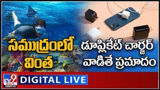 West Nile Virus: దూసుకొస్తున్న మరో కొత్త వైరస్‌..!! దోమ కాటు ద్వారా మానవుల్లోకి వ్యాప్తి..  రష్యా హెచ్చరిక.. వీడియో