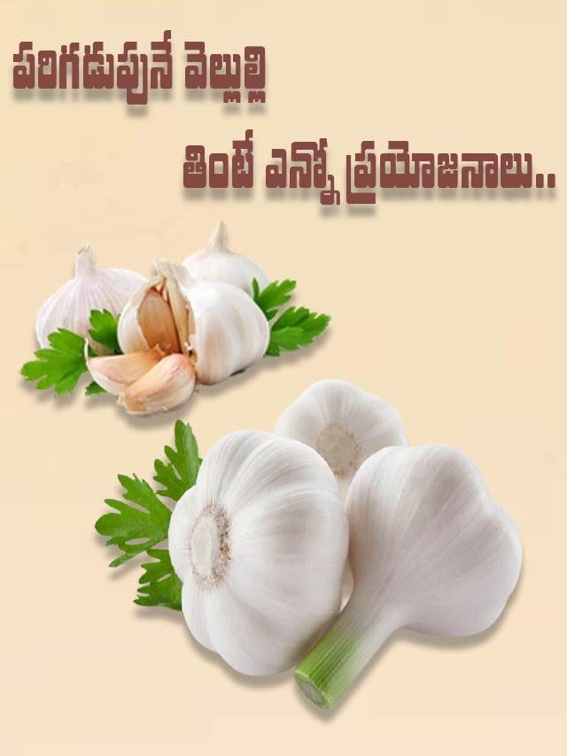 పరిగడుపునే వెల్లుల్లి తింటే ఎన్నో ప్రయోజనాలు..