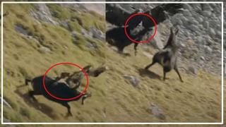 Viral Video: అదిరేటి స్టెప్పులతో అదరగొట్టిన పోలీస్.. ‘వావ్, వాటే’ గ్రేస్ అంటోన్న నెటిజన్స్