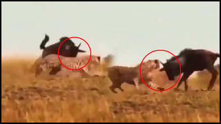 గ్యాప్‌ తర్వాత వ్యాయామం చేస్తున్నట్టయితే బీ కేర్‌ఫుల్‌.. వీడియో