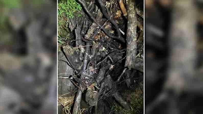 Viral Pic: ఈ ఫోటోలో పాము ఎక్కడుందో కనిపెట్టండి.! చాలామంది ఫెయిల్ అయ్యారు..